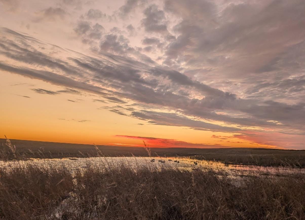 Jasper Necklace - Natural cherry creek stone, silver, reversible pendant, handmade, sunrise,sunset, reeds, landscape, brown leather, gift